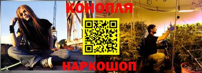 шишки Вязники