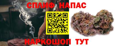 apvp Вязьма