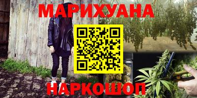 шишки Вязники