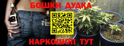 шишки Вязники
