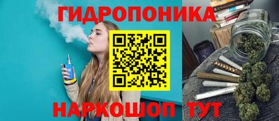apvp Вязьма